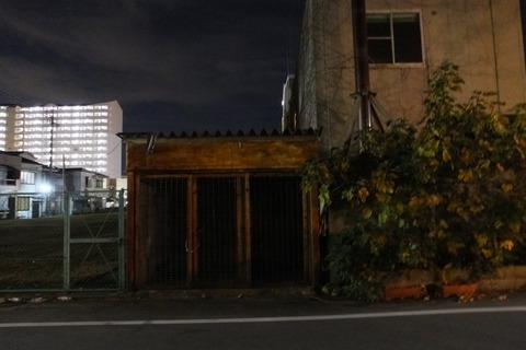 DSCF5973☆彡