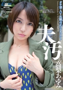 AV女優・高梨あゆみ作品のパッケージ(4)