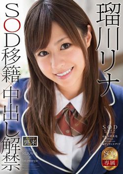 AV女優・瑠川リナ作品のパッケージ