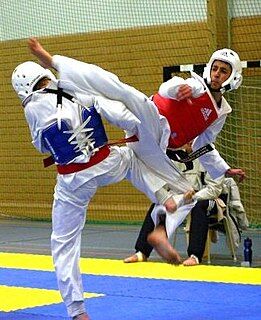 261px-WTF_Taekwondo_1