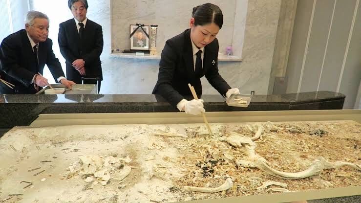 悲報 火葬場 ヤベっ 遺骨を全部掃除機で吸っちゃったわ Neちゃんねる