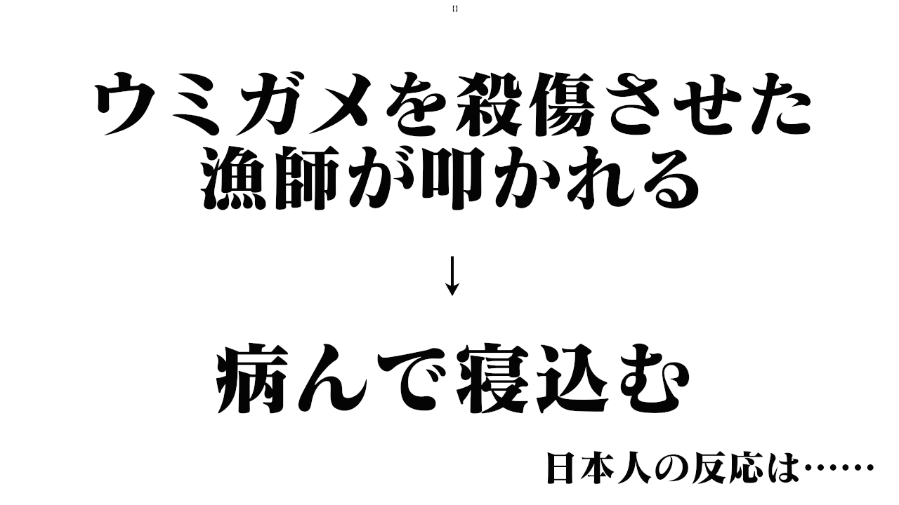 ウミガメ殺傷の漁業者 落ち込み寝込む Neチャンネル ウミガメ殺傷の漁業者 落ち込み寝込む Neチャンネル