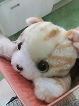 3644448_1188944597_245large