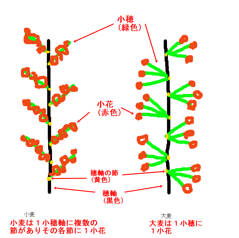 イメージ 3