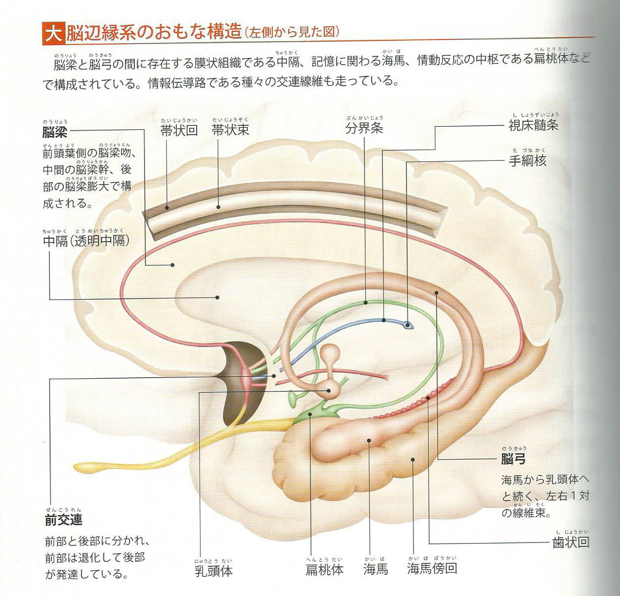 イメージ 10