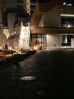 かなめ1