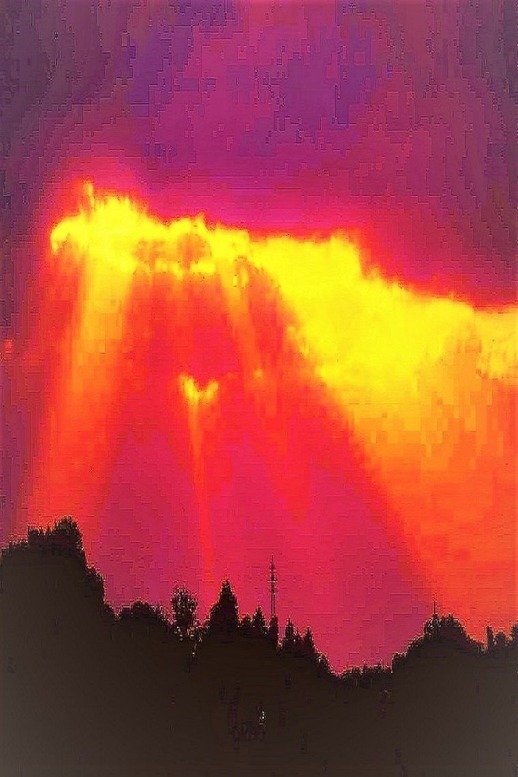 hikari-777-17