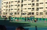 幸町小学校校庭