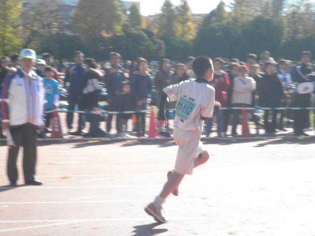 川口マラソン結果 Aventura 川口 Info