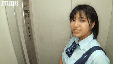 1fsdss00176jp-1