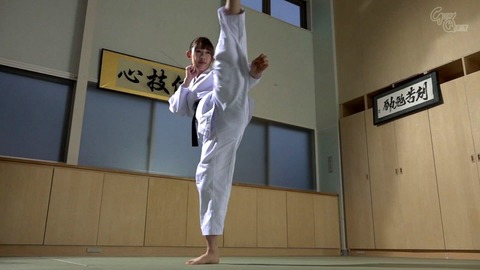13gvg00682jp-4