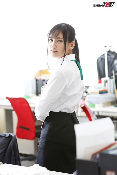 1sdjs00066jp-10