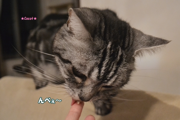 031f41fb.jpg