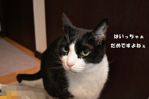 062206fd.jpg