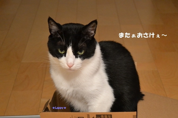 06c4c389.jpg