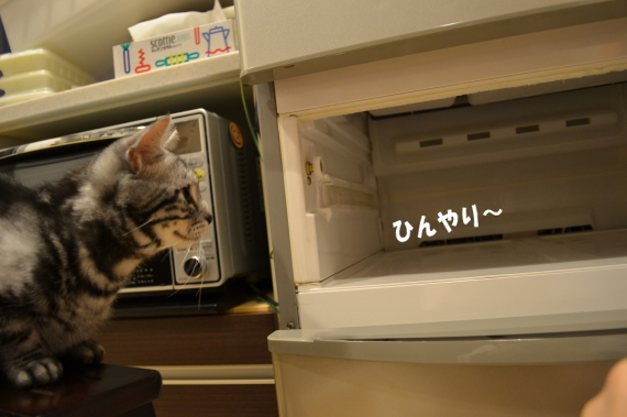 0a0578c5.jpg