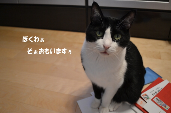 12be9368.jpg