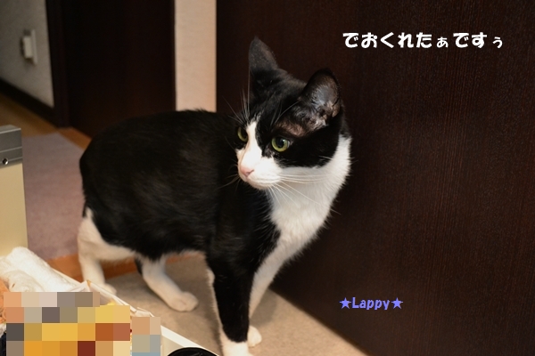 1460386f.jpg