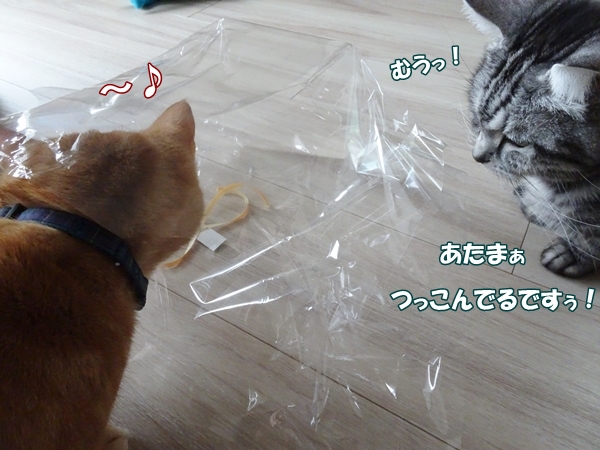 15f8ff79.jpg
