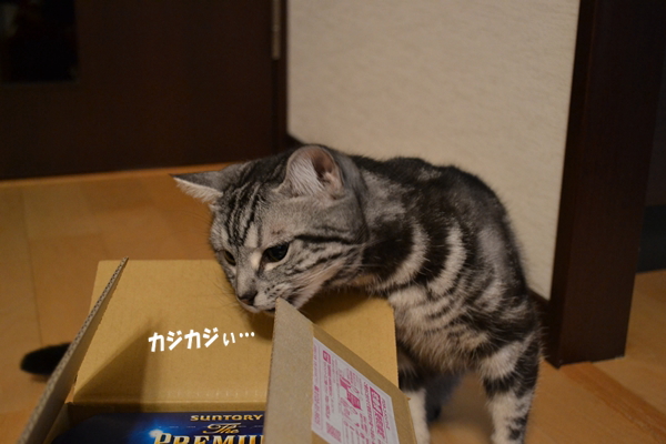 1a154d03.jpg