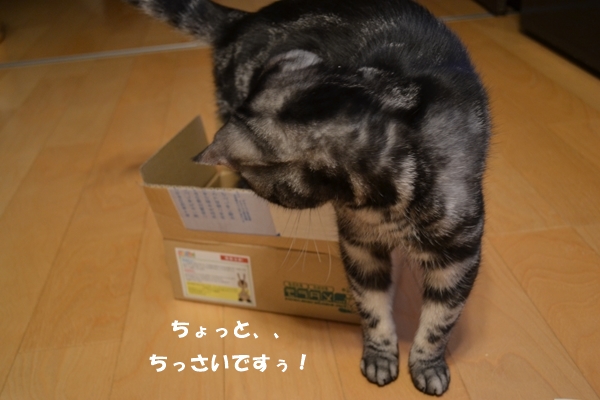 1b4f980d.jpg