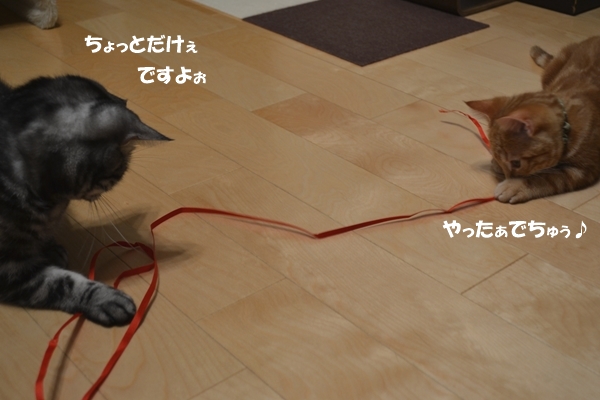 1f5e72d5.jpg
