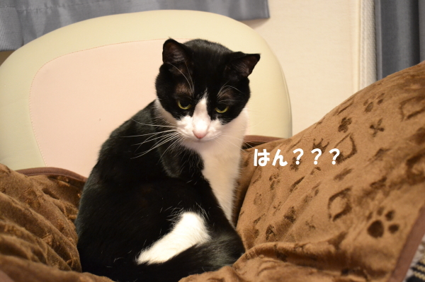 241ff695.jpg
