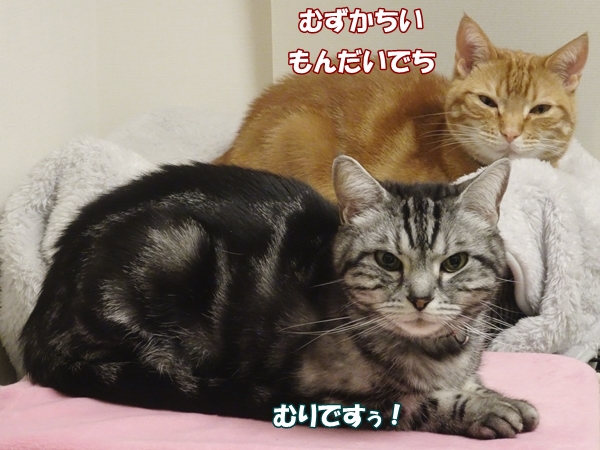 28a7b588.jpg