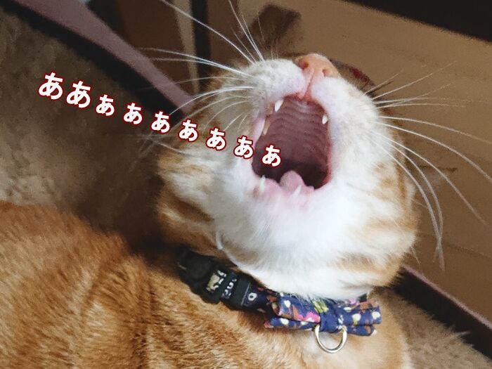 92