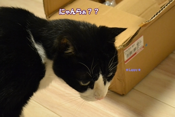 2d6f0e01.jpg
