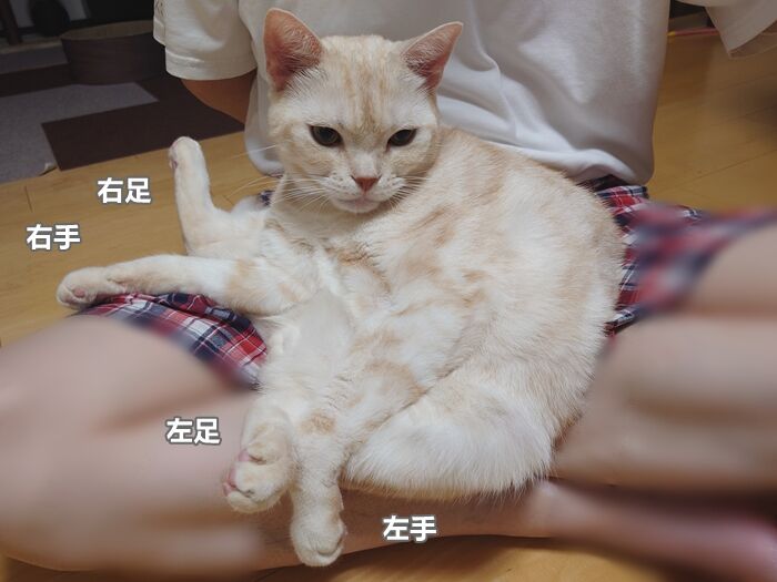96