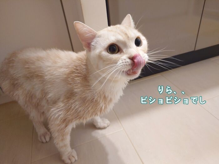 59