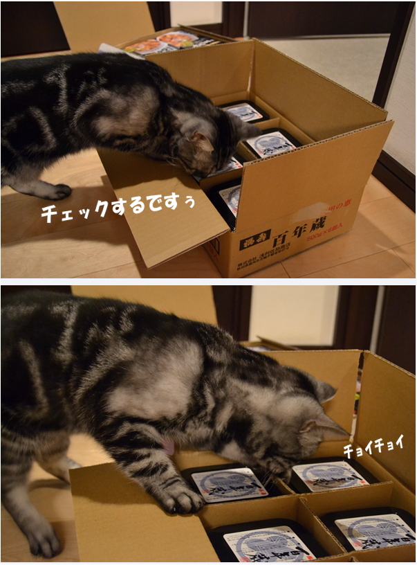 3ff7f098.jpg