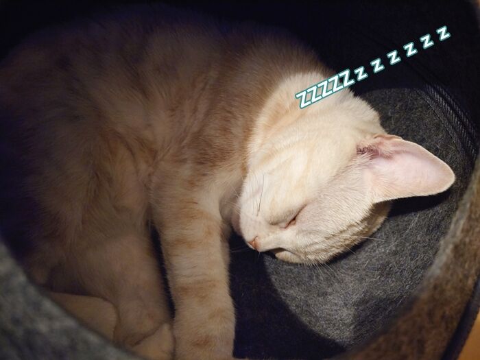 82
