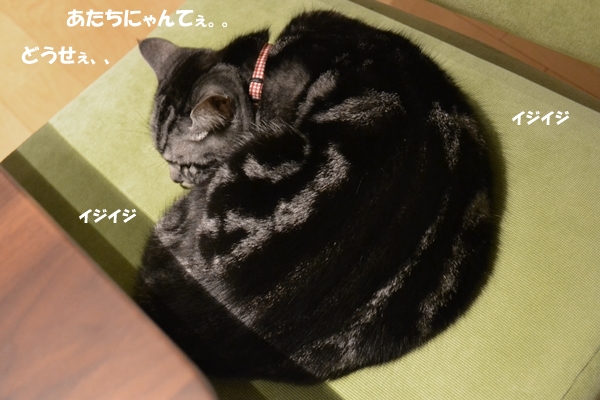 4a7a1c40.jpg