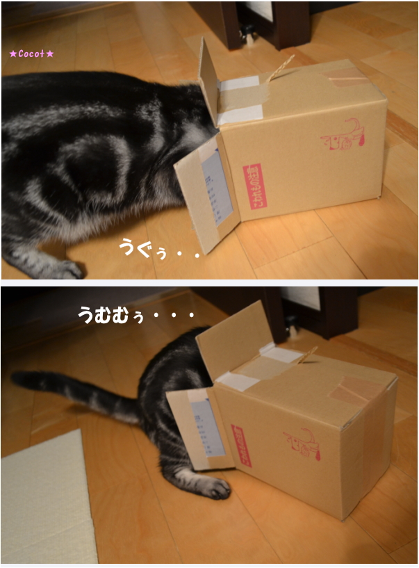 4c613939.jpg