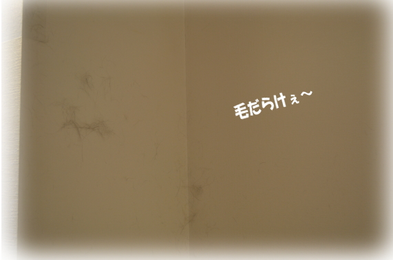 4d6397a2.jpg