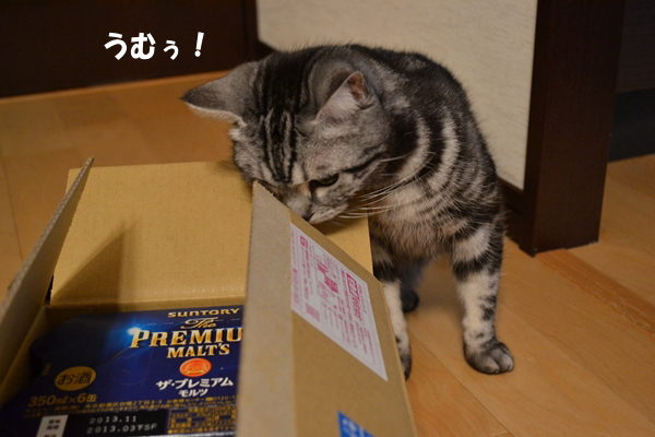 4d7759f3.jpg