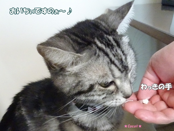 4f01d310.jpg