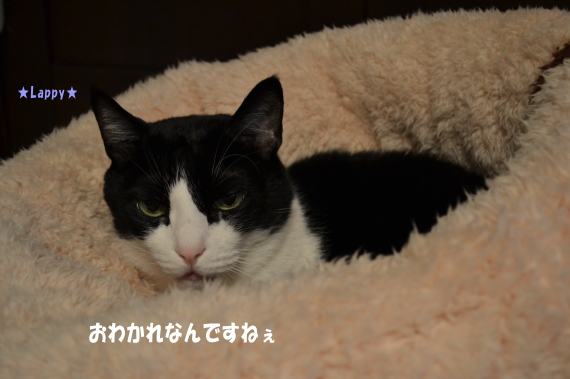 506f124f.jpg