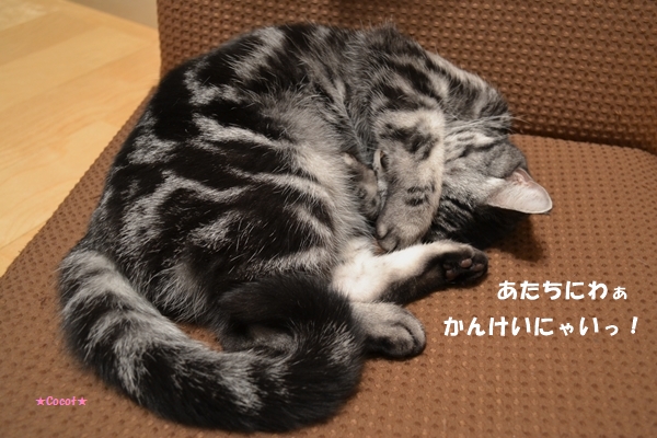 52b79ab8.jpg