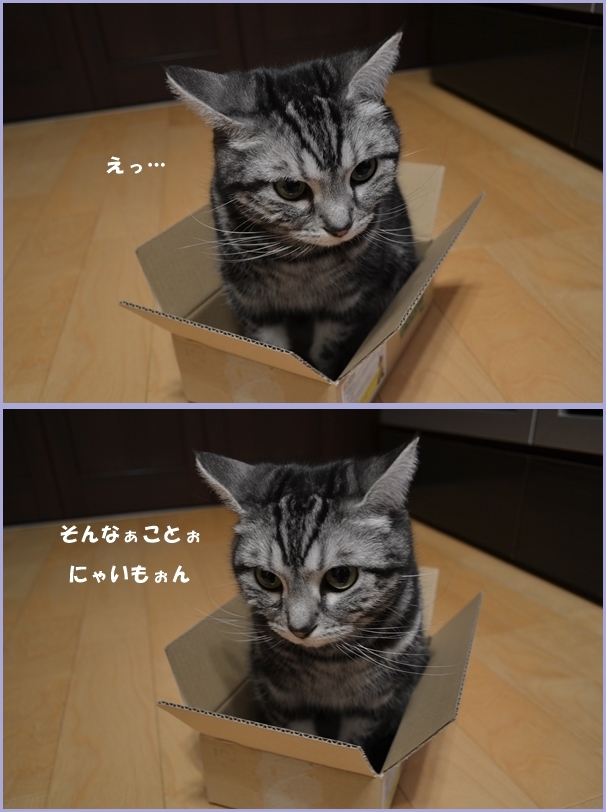 56ba18d3.jpg