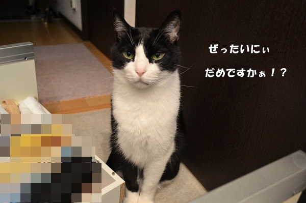 5742dd58.jpg