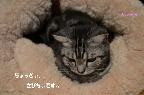 591f983f.jpg