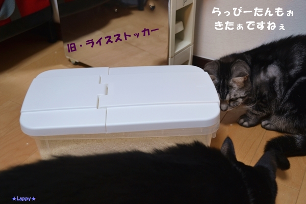 5a26a92a.jpg