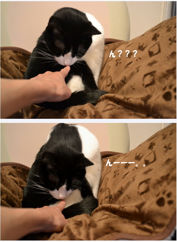 6105b4d2.jpg
