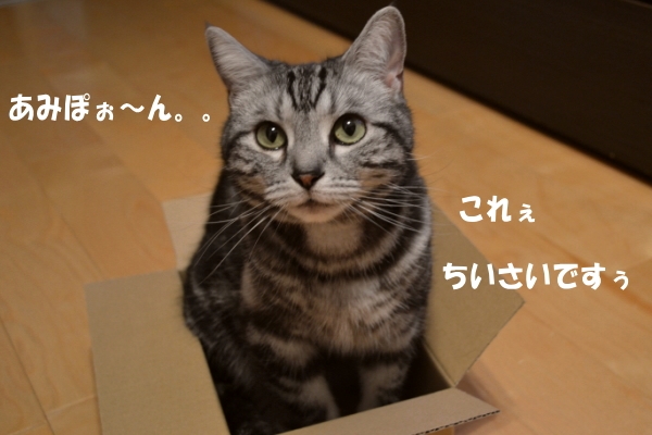 65d54ab9.jpg