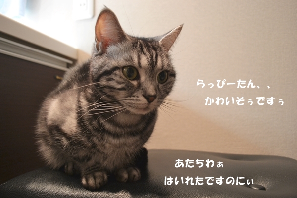 6810a685.jpg