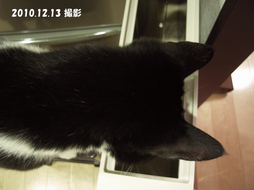 687a7139.jpg