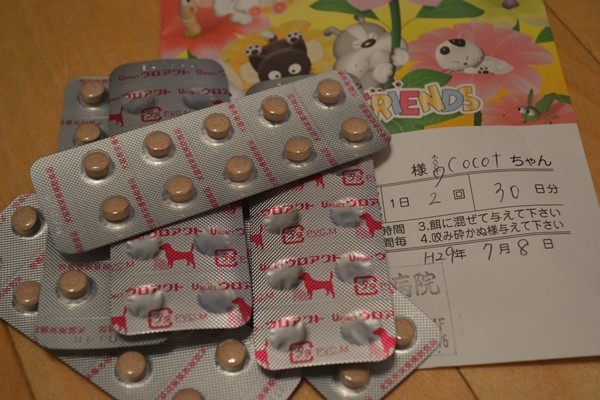 6a7952b3.jpg